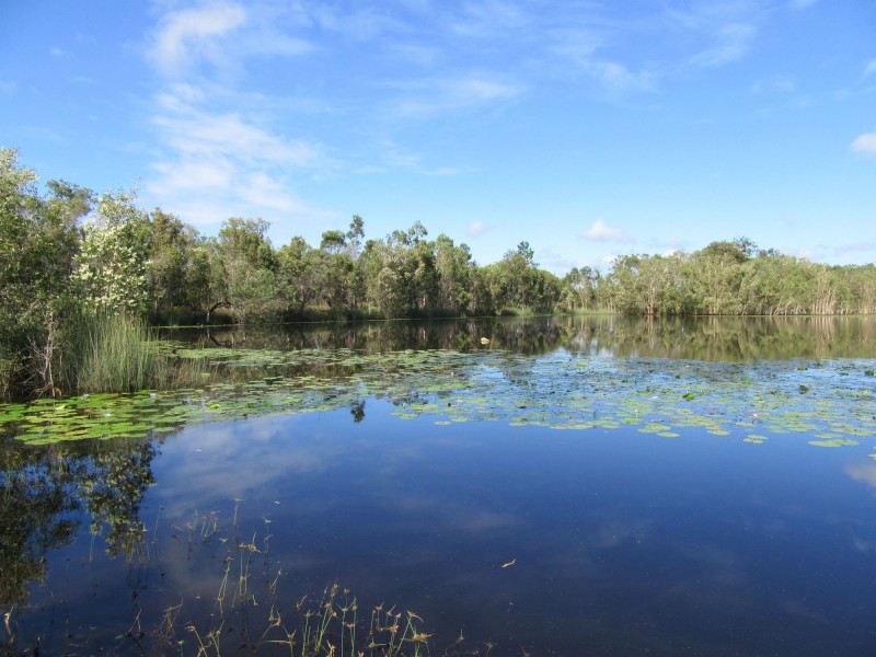 Elliott QLD 4670