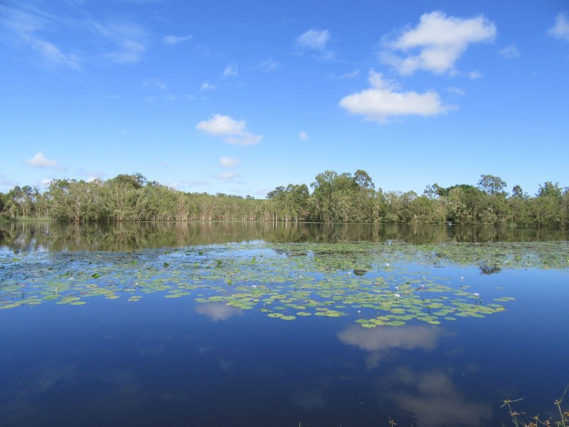 Elliott QLD 4670