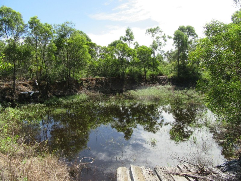 Elliott QLD 4670