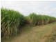 South Kolan QLD 4670