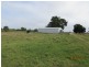 South Kolan QLD 4670