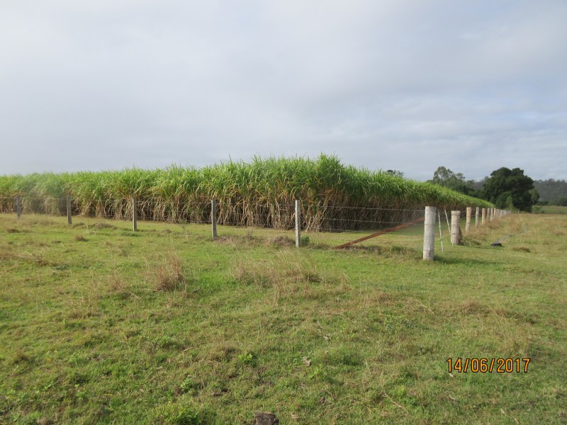 South Kolan QLD 4670