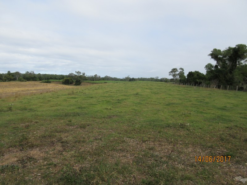 South Kolan QLD 4670