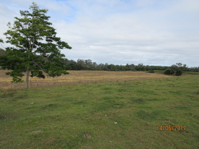 South Kolan QLD 4670