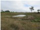 South Kolan QLD 4670