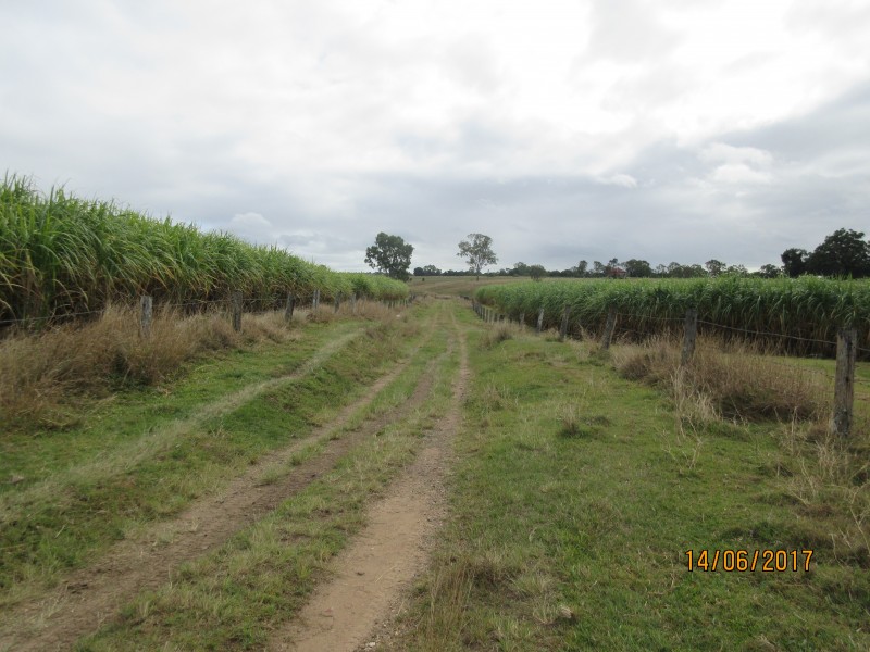 South Kolan QLD 4670