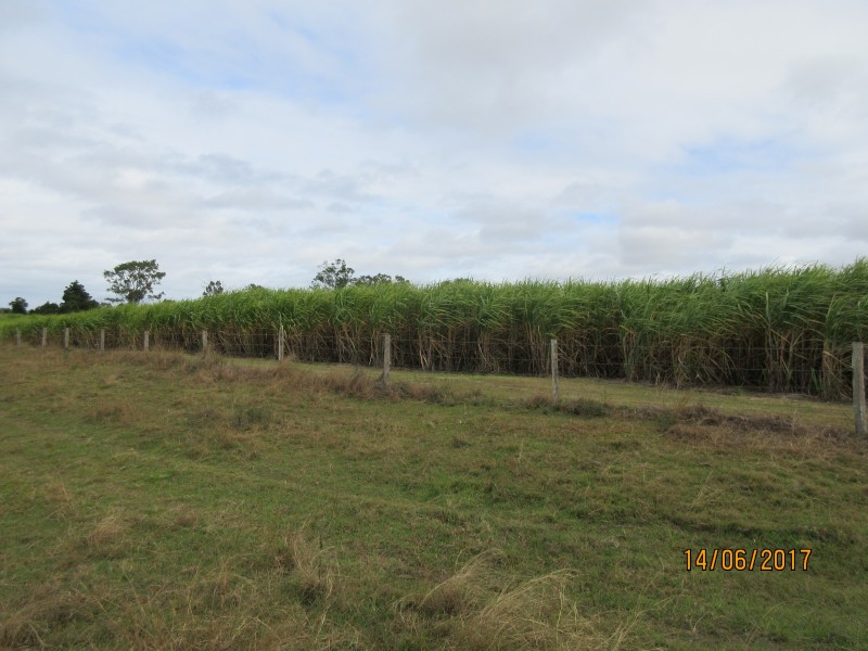 South Kolan QLD 4670