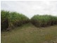 South Kolan QLD 4670