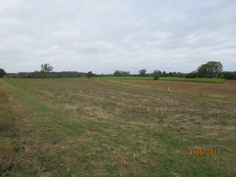 South Kolan QLD 4670