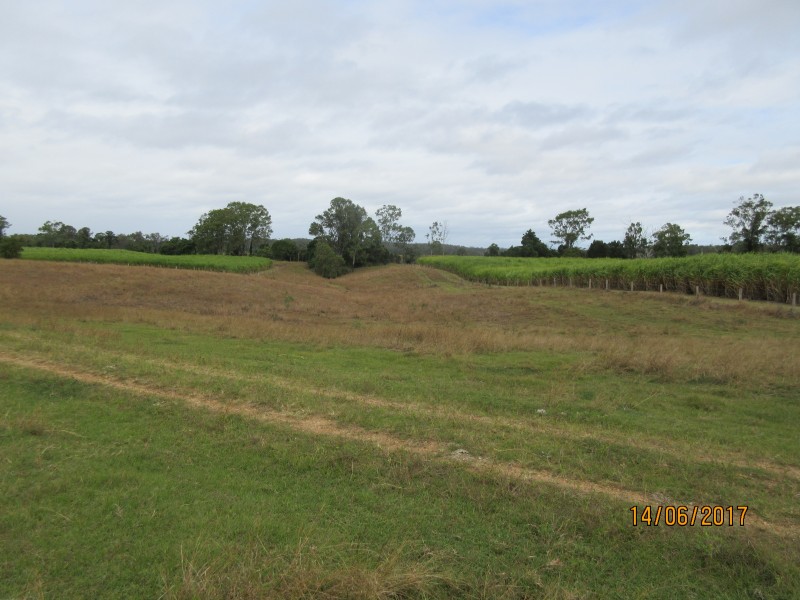 South Kolan QLD 4670