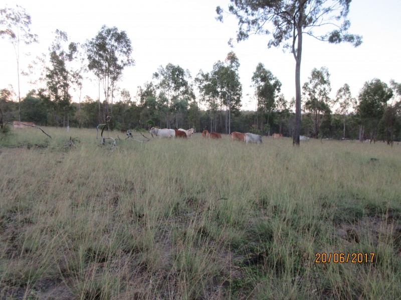 Monto QLD 4630