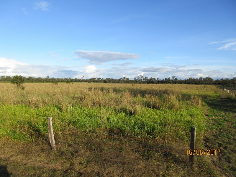South Kolan QLD 4670