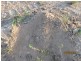 South Kolan QLD 4670