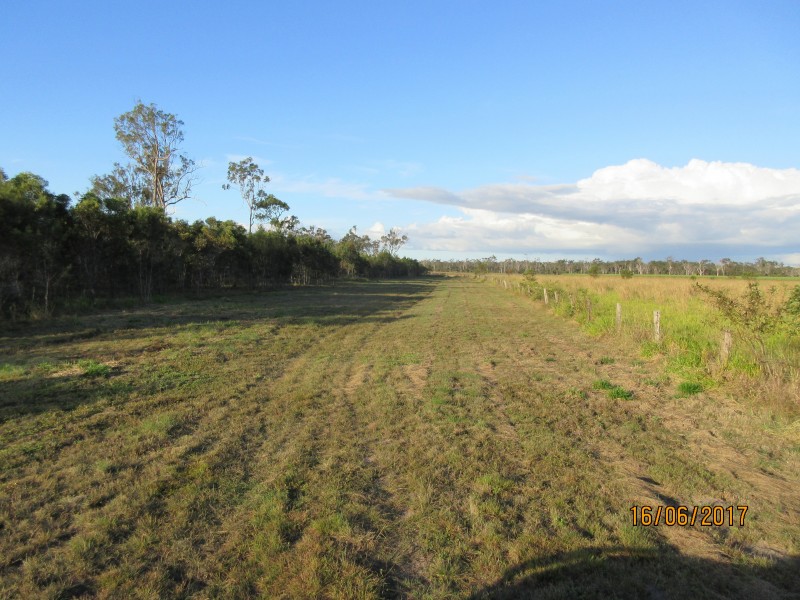 South Kolan QLD 4670
