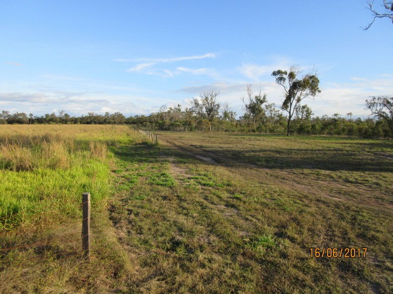 South Kolan QLD 4670