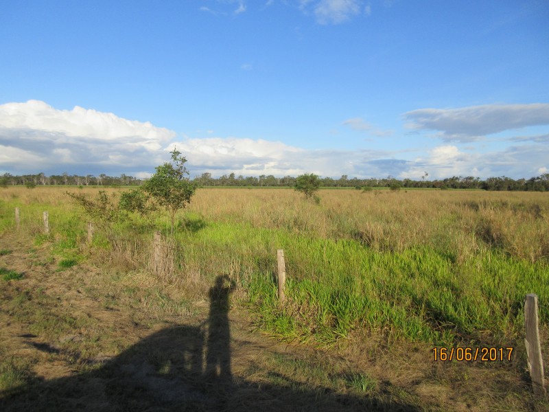 South Kolan QLD 4670