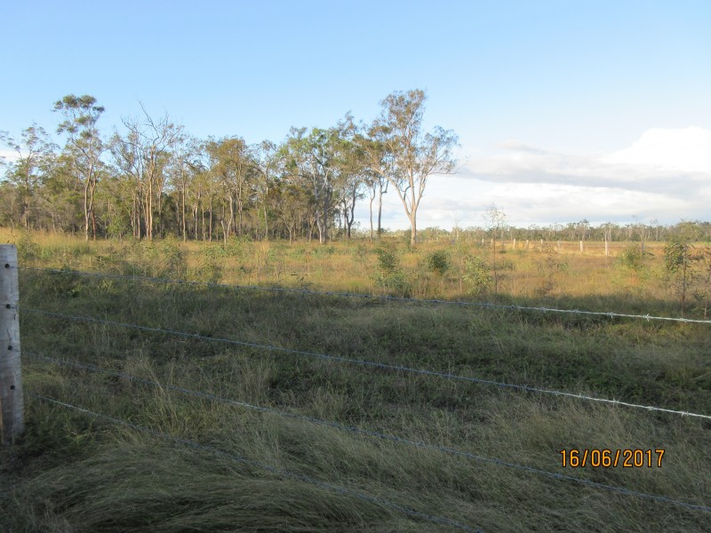 South Kolan QLD 4670