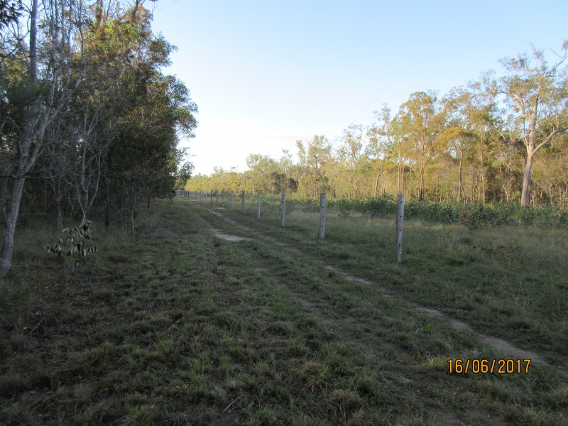 South Kolan QLD 4670