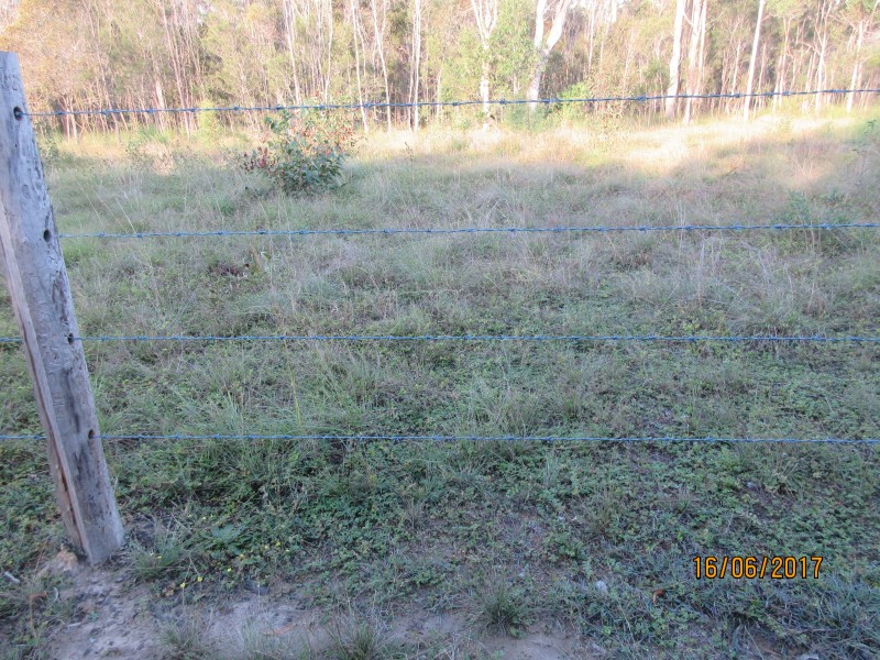 South Kolan QLD 4670