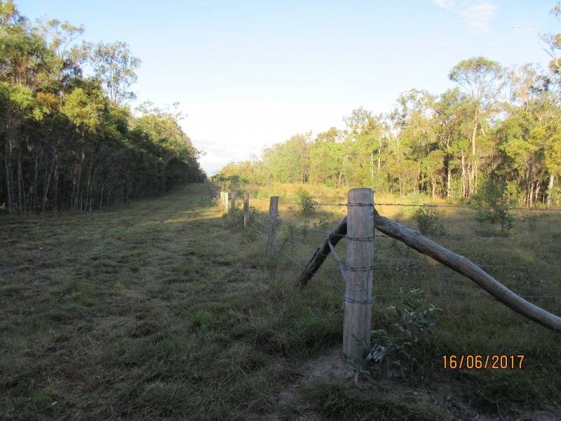 South Kolan QLD 4670