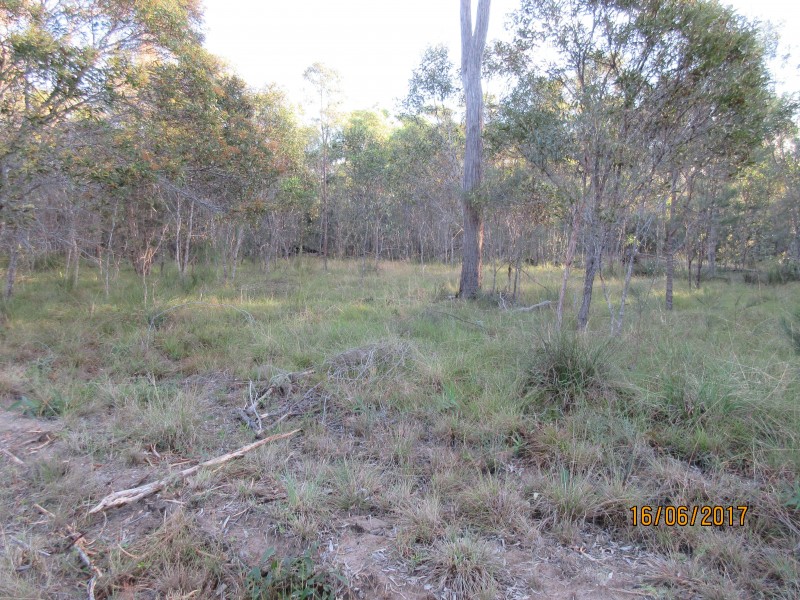 South Kolan QLD 4670