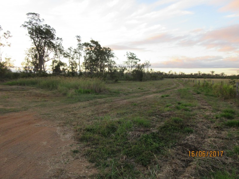 South Kolan QLD 4670