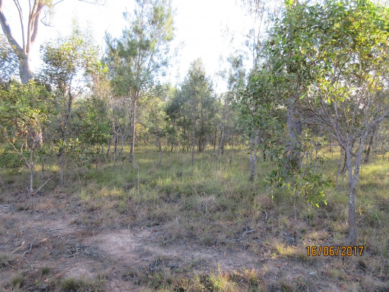 South Kolan QLD 4670