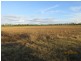 South Kolan QLD 4670