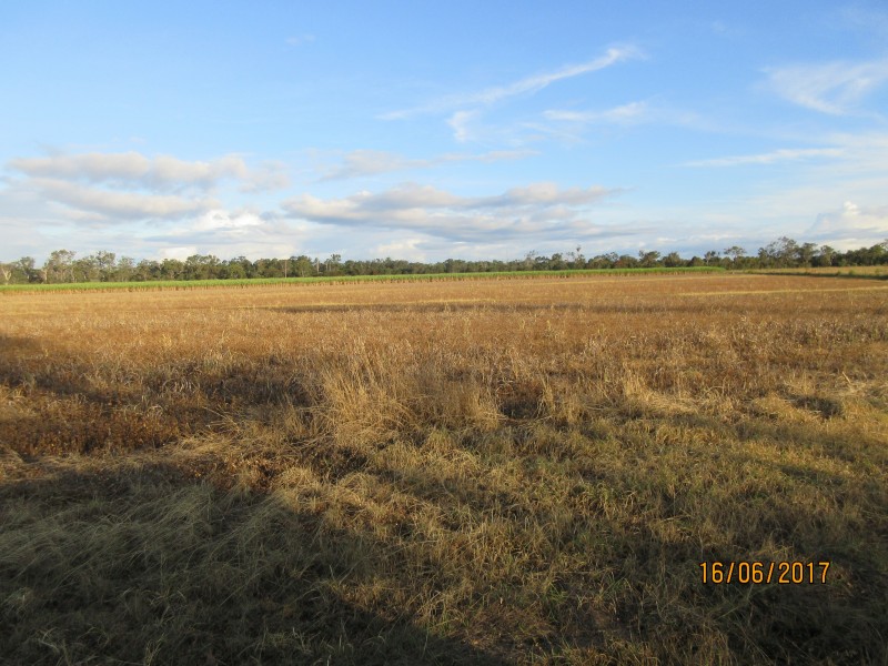South Kolan QLD 4670