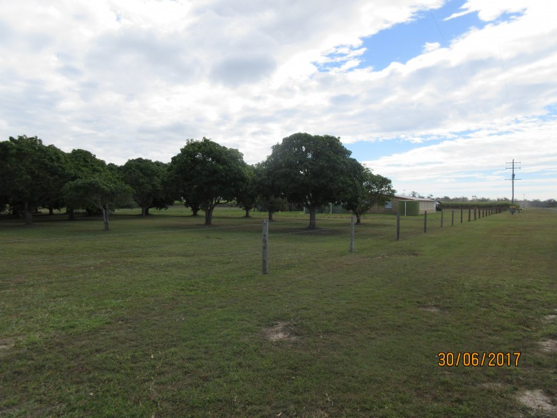 South Kolan QLD 4670