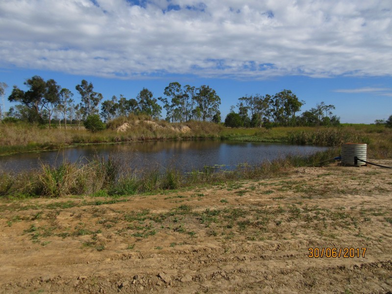 South Kolan QLD 4670