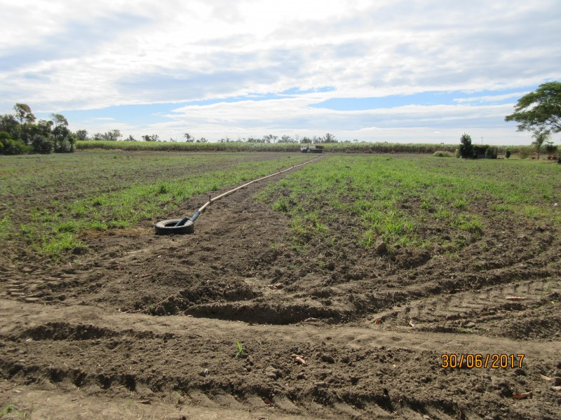 South Kolan QLD 4670