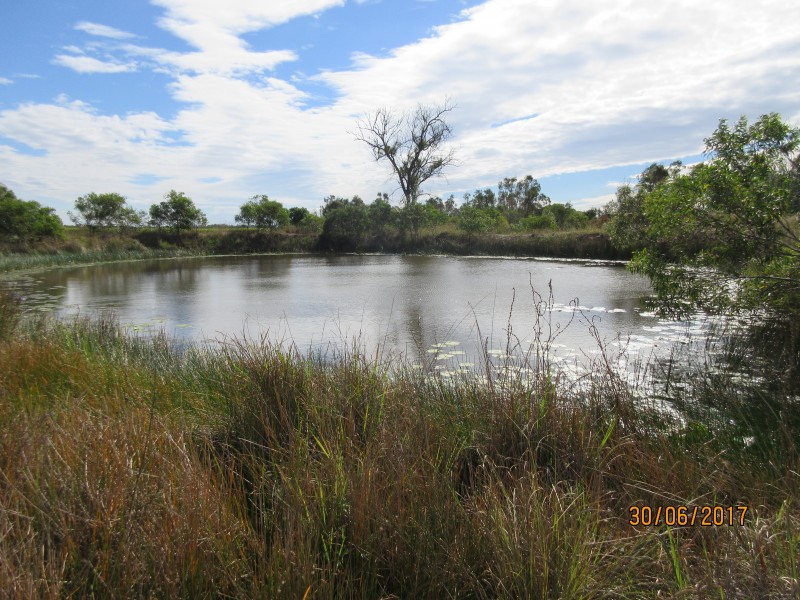 South Kolan QLD 4670