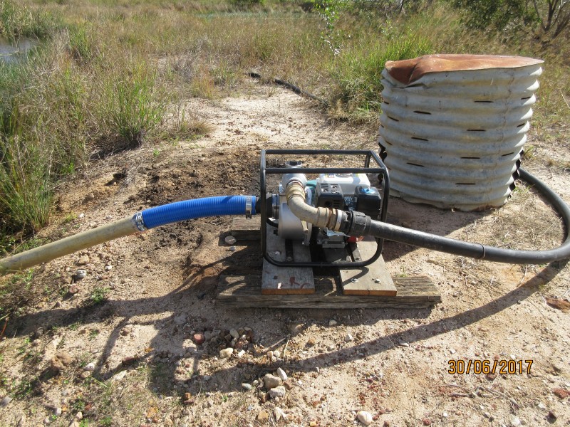 South Kolan QLD 4670