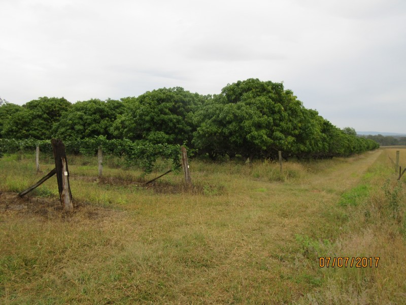 Duingal QLD 4671