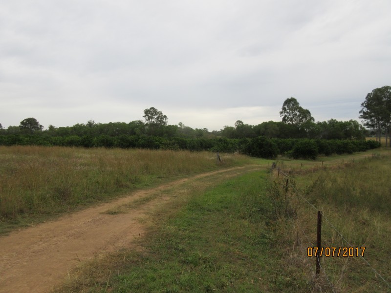 Duingal QLD 4671