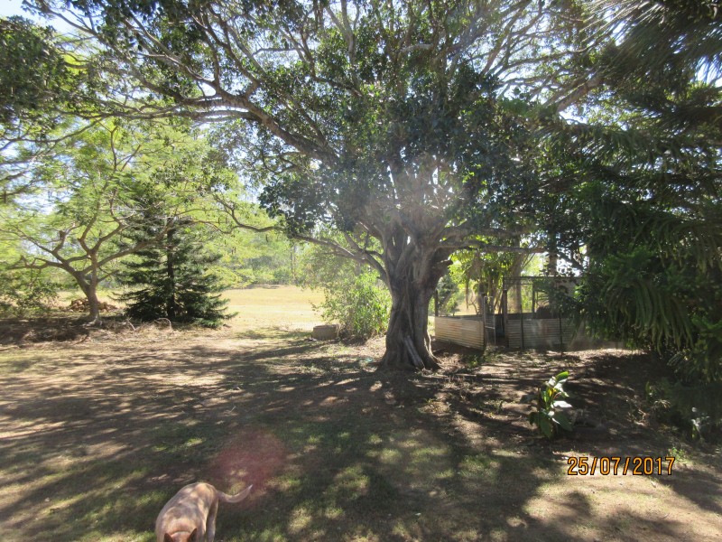 Horse Camp QLD 4671