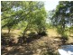 Horse Camp QLD 4671