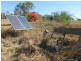 Horse Camp QLD 4671