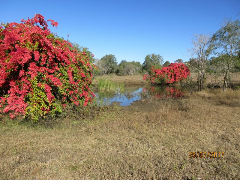 Horse Camp QLD 4671