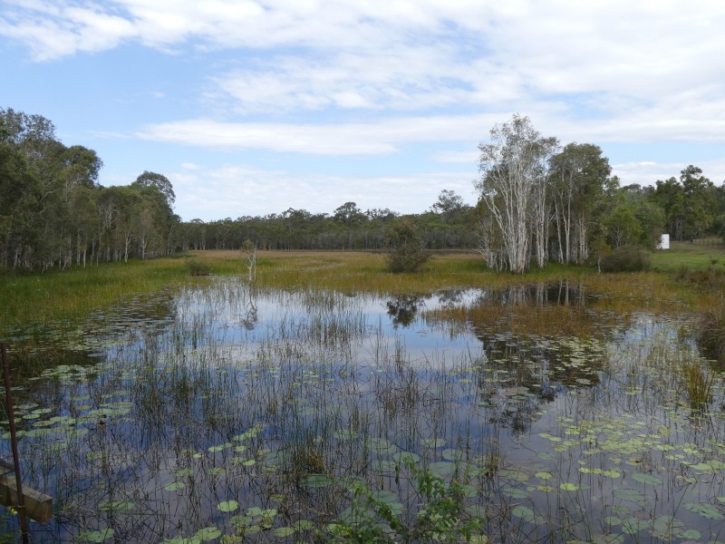 34 Rosella Dr, South Kolan QLD 4670