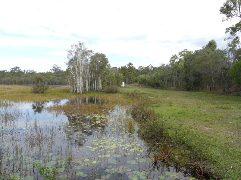 34 Rosella Dr, South Kolan QLD 4670