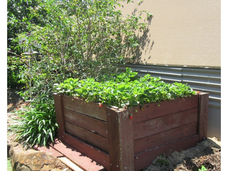 Burnett Heads QLD 4670