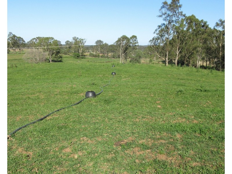 Waterloo QLD 4673