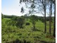 Waterloo QLD 4673