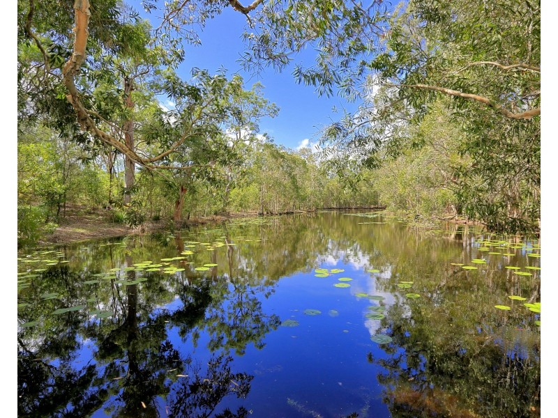 Elliott QLD 4670