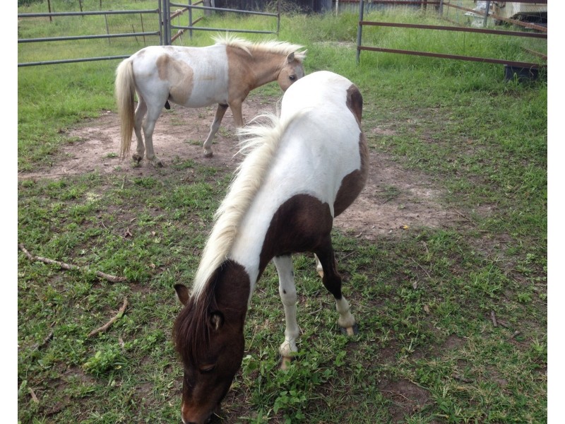 1209 Gin Gin Rd, Sharon QLD 4670