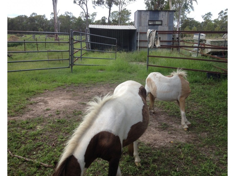 1209 Gin Gin Rd, Sharon QLD 4670