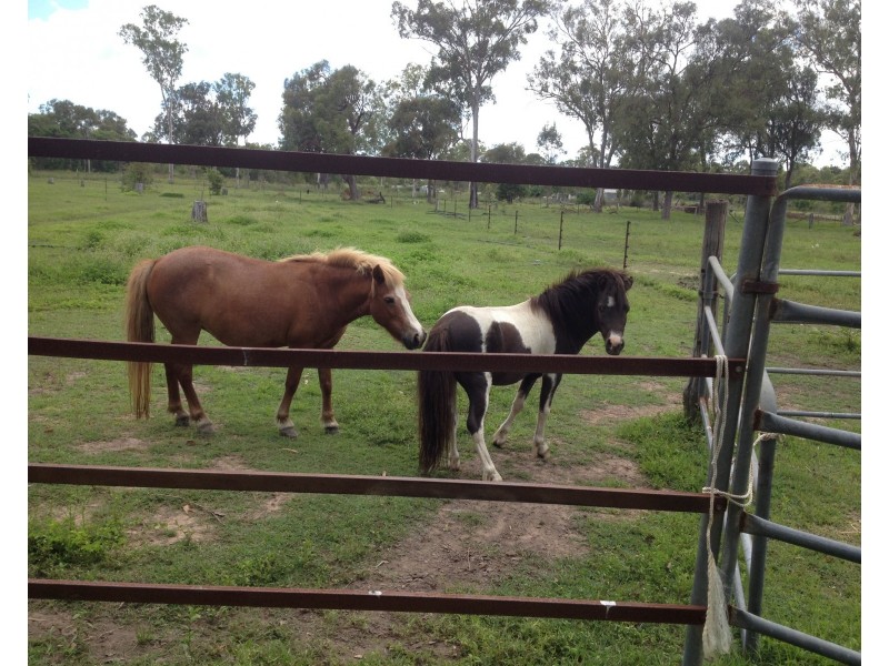 1209 Gin Gin Rd, Sharon QLD 4670