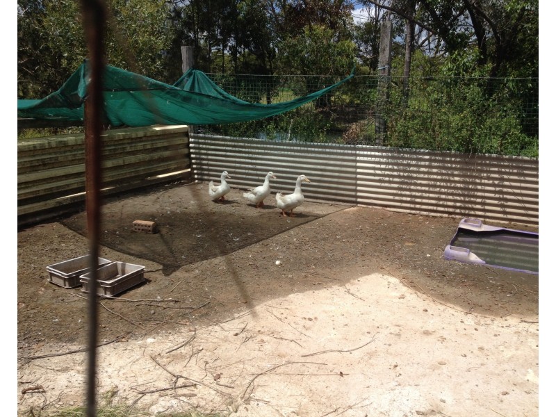 1209 Gin Gin Rd, Sharon QLD 4670